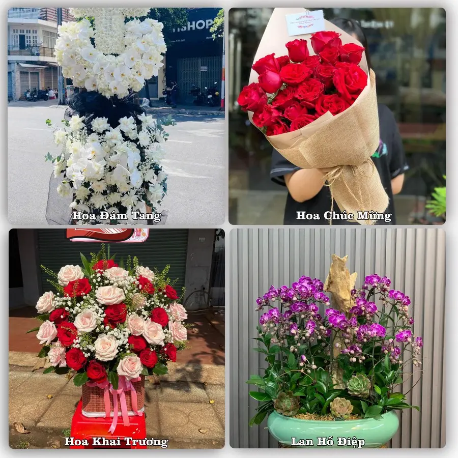 Tư vấn chọn hoa theo người nhận và dịp tặng tại Phường Nếnh - Tỉnh Bắc Ninh