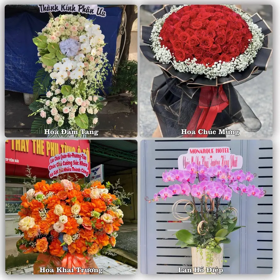 Dịch vụ đặt hoa và giao tận nơi tại Xã Núi Thành - Thành phố Đà Nẵng