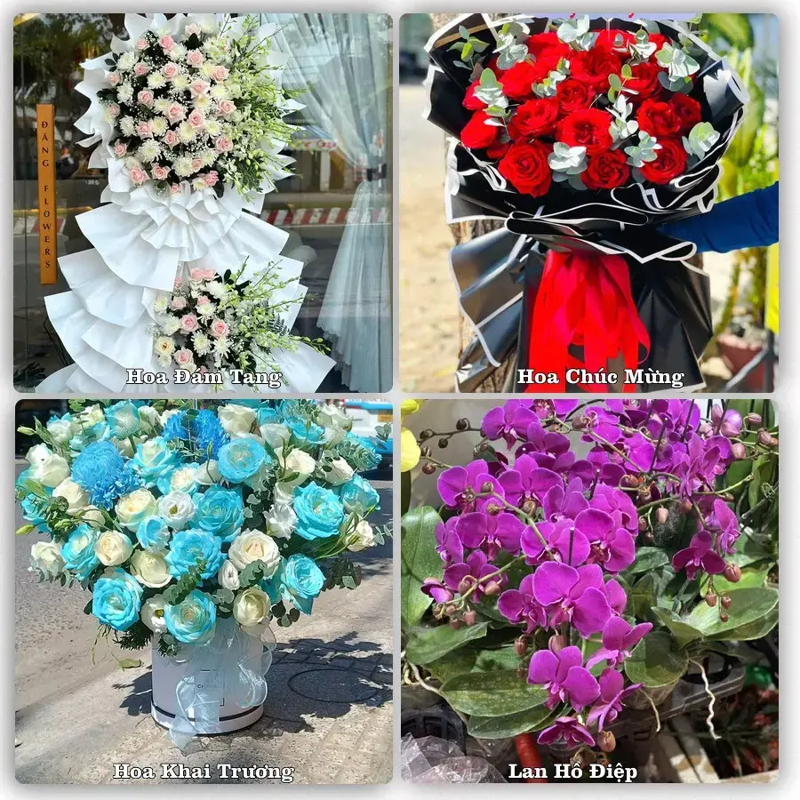 Tư vấn chọn hoa theo người nhận và dịp tặng tại Phường Phan Thiết