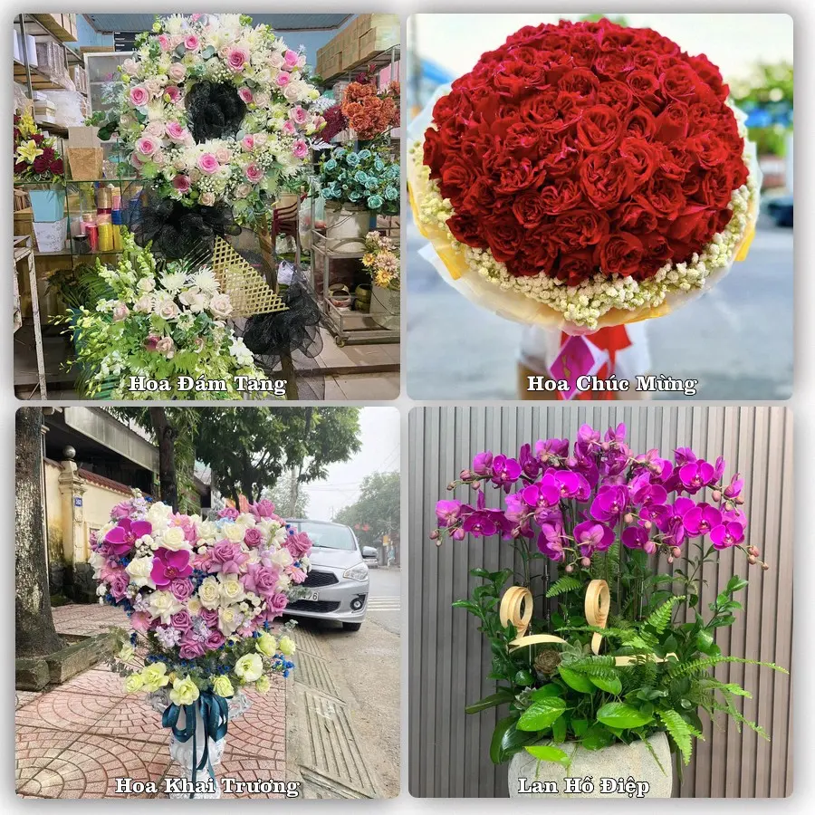 Mẫu hoa phục vụ nhu cầu đặt hoa tại Xã Phước Hậu - Tỉnh Khánh Hòa