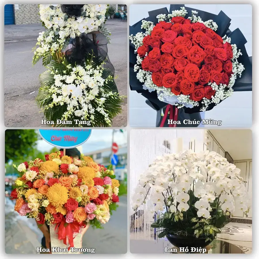 Tư vấn chọn hoa theo người nhận và dịp tặng tại Xã Phước Hậu - Tỉnh Khánh Hòa