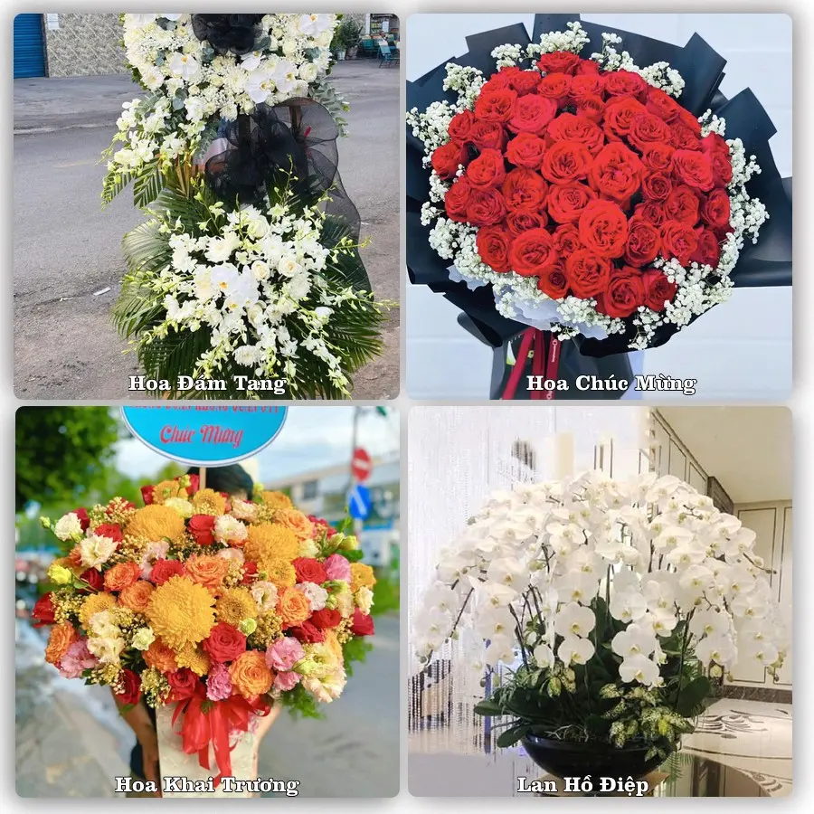 Tư vấn chọn hoa theo người nhận và dịp tặng tại Xã Phước Hậu - Tỉnh Khánh Hòa