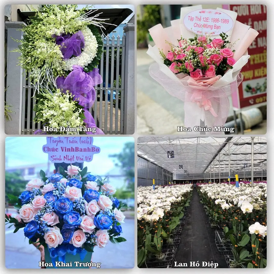Dịch vụ đặt hoa và giao tận nơi tại Xã Quỳnh Phụ - Tỉnh Hưng Yên