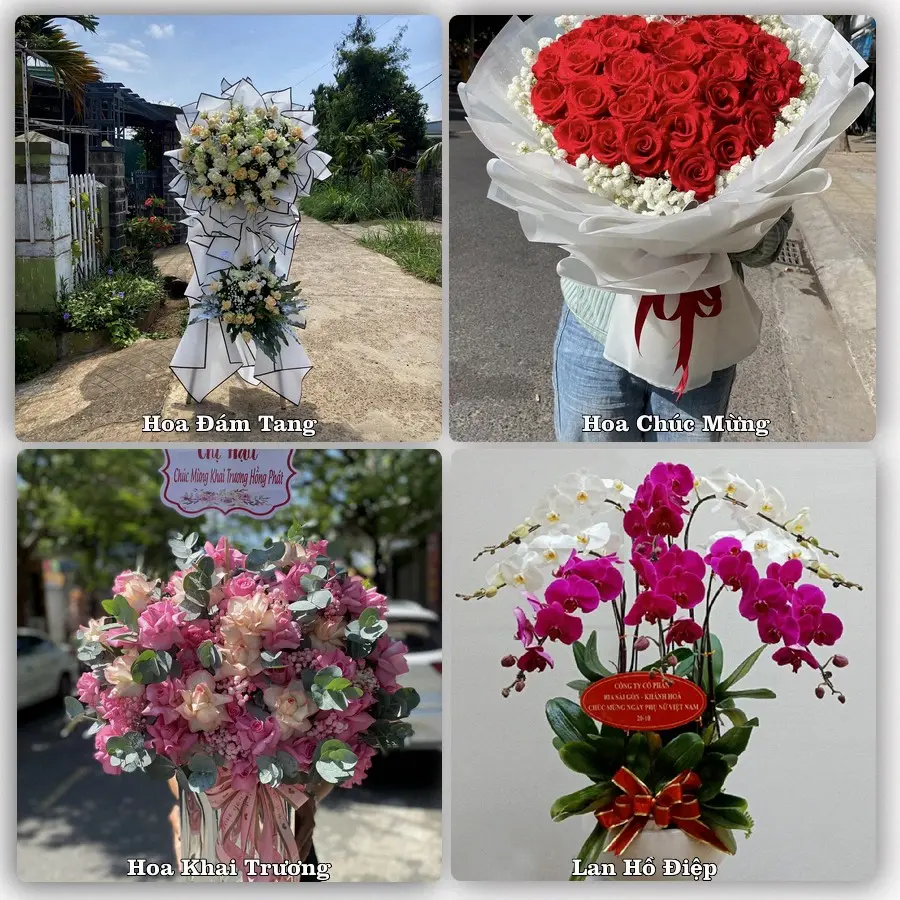 Dịch vụ đặt hoa và giao tận nơi tại Xã Tân Minh - Thành phố Hải Phòng