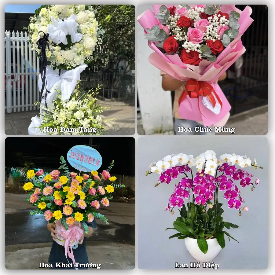 Tư vấn chọn hoa theo người nhận và dịp tặng tại Xã Tân Minh - Thành phố Hải Phòng