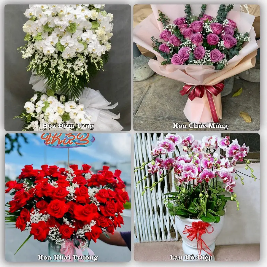 Tư vấn chọn hoa theo người nhận và dịp tặng tại Xã Thiên Lộc - Thành phố Hà Nội