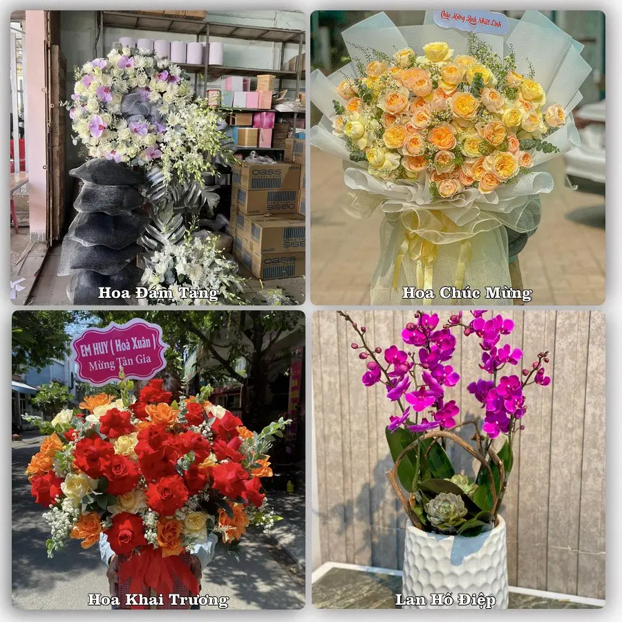 Tư vấn chọn hoa theo người nhận và dịp tặng tại Xã Thủ Thừa - Tỉnh Tây Ninh