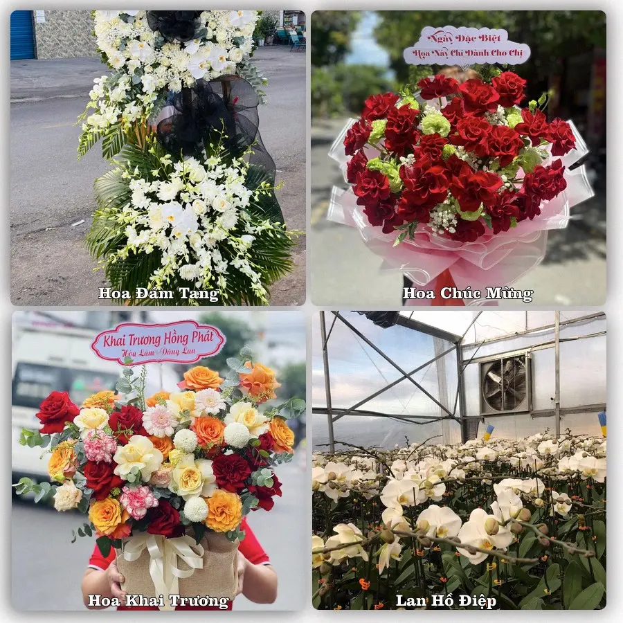 Dịch vụ đặt hoa và giao tận nơi tại Phường Bình Thuận - Tỉnh Lâm Đồng