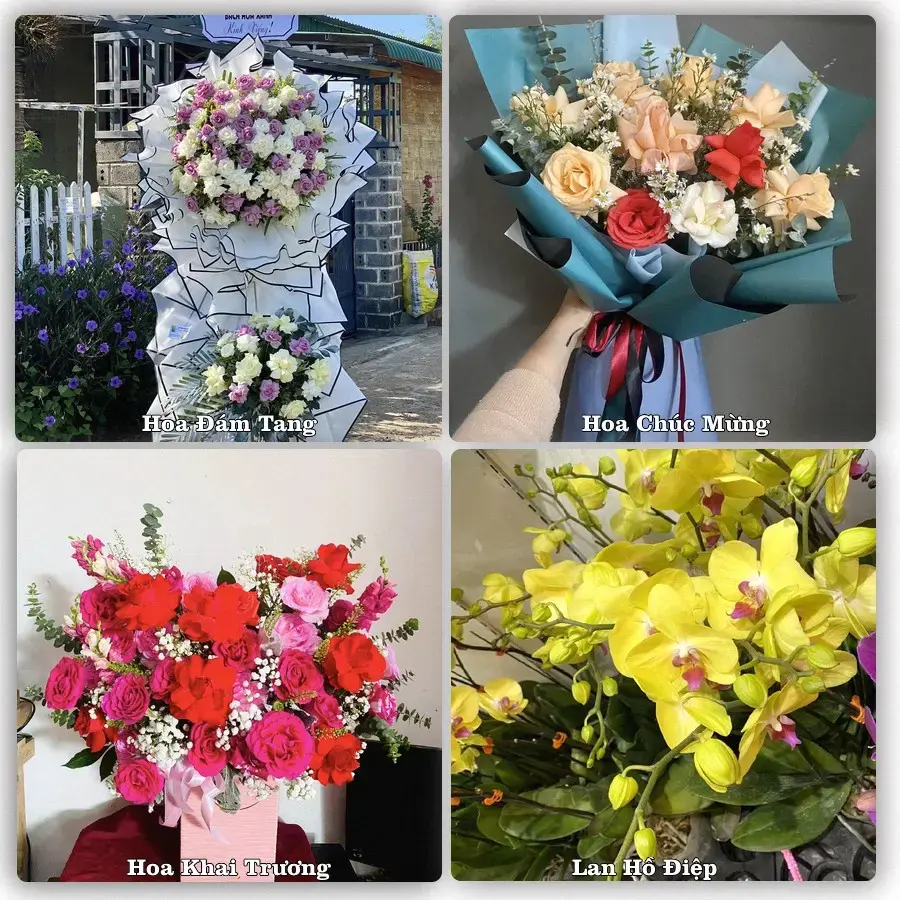 Tiệm hoa tươi Phường Bình Thuận, Lâm Đồng – hoa sinh nhật và khai trương