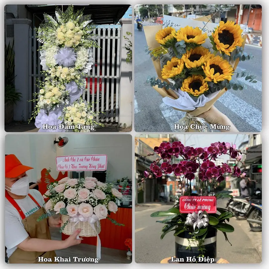 Tư vấn chọn hoa theo người nhận và dịp tặng tại Phường Bình Thuận - Tỉnh Lâm Đồng