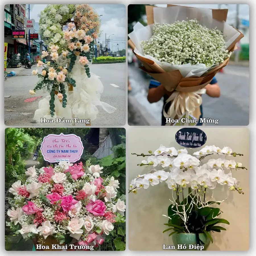 Tiệm hoa tươi Phường Điện Biên Phủ, Điện Biên – hoa sinh nhật và khai trương