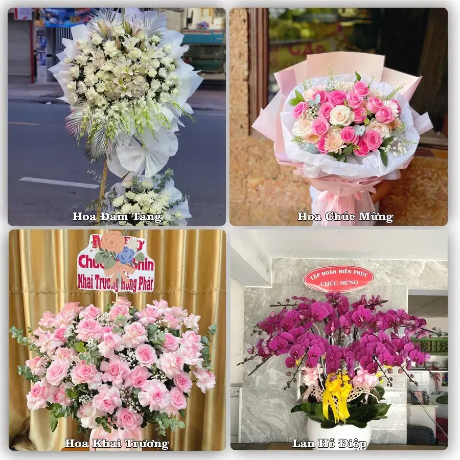 Tiệm hoa tươi Xã Giao Long, Vĩnh Long – hoa sinh nhật và khai trương