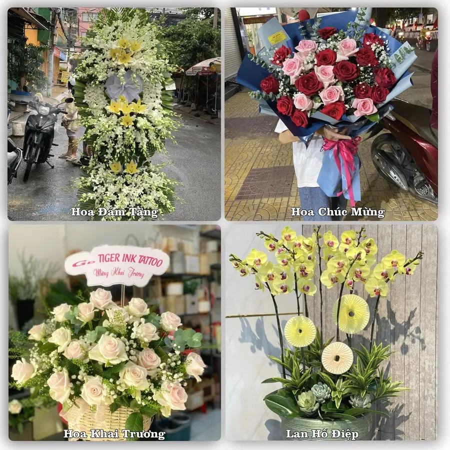 Tư vấn chọn hoa theo người nhận và dịp tặng tại Xã Giao Long - Tỉnh Vĩnh Long