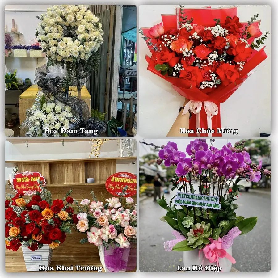 Dịch vụ đặt hoa và giao tận nơi tại Xã Hải Hưng - Tỉnh Ninh Bình
