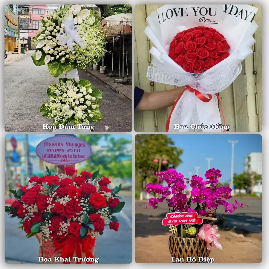 Tiệm hoa tươi Xã Hải Hưng, Ninh Bình – hoa sinh nhật và khai trương