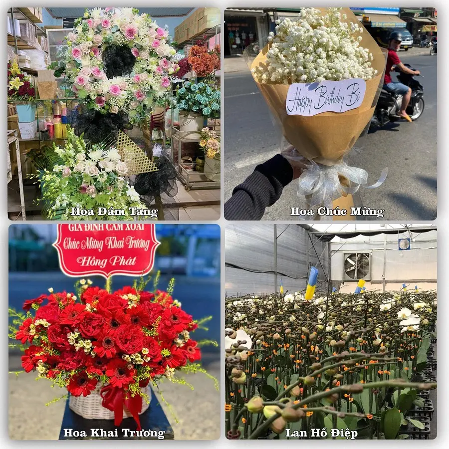 Tư vấn chọn hoa theo người nhận và dịp tặng tại Xã Hải Hưng - Tỉnh Ninh Bình