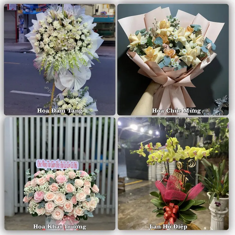 Dịch vụ đặt hoa và giao tận nơi tại Phường Hội Phú - Tỉnh Gia Lai