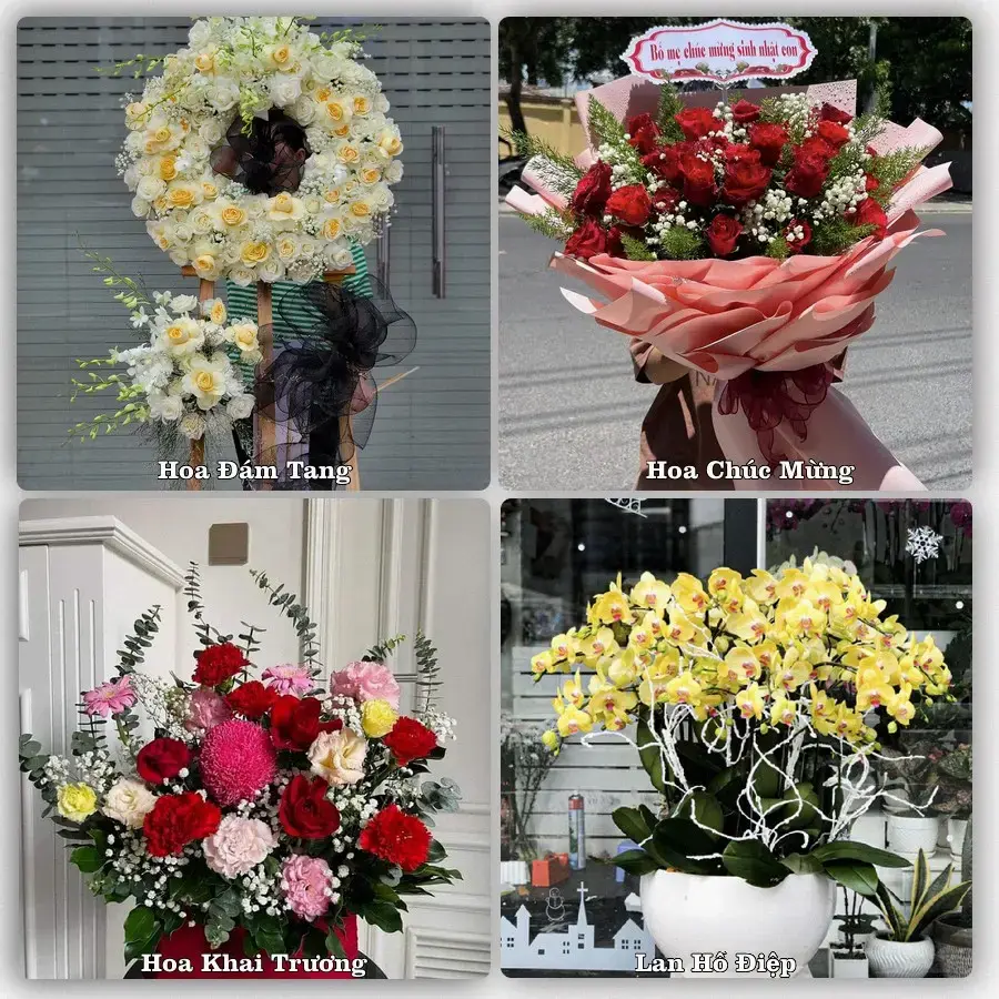 Tiệm hoa tươi Phường Hội Phú, Gia Lai – hoa sinh nhật và khai trương