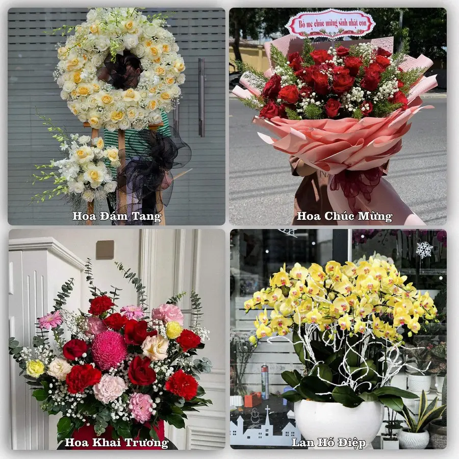 Mẫu hoa phục vụ nhu cầu đặt hoa tại Phường Hội Phú - Tỉnh Gia Lai