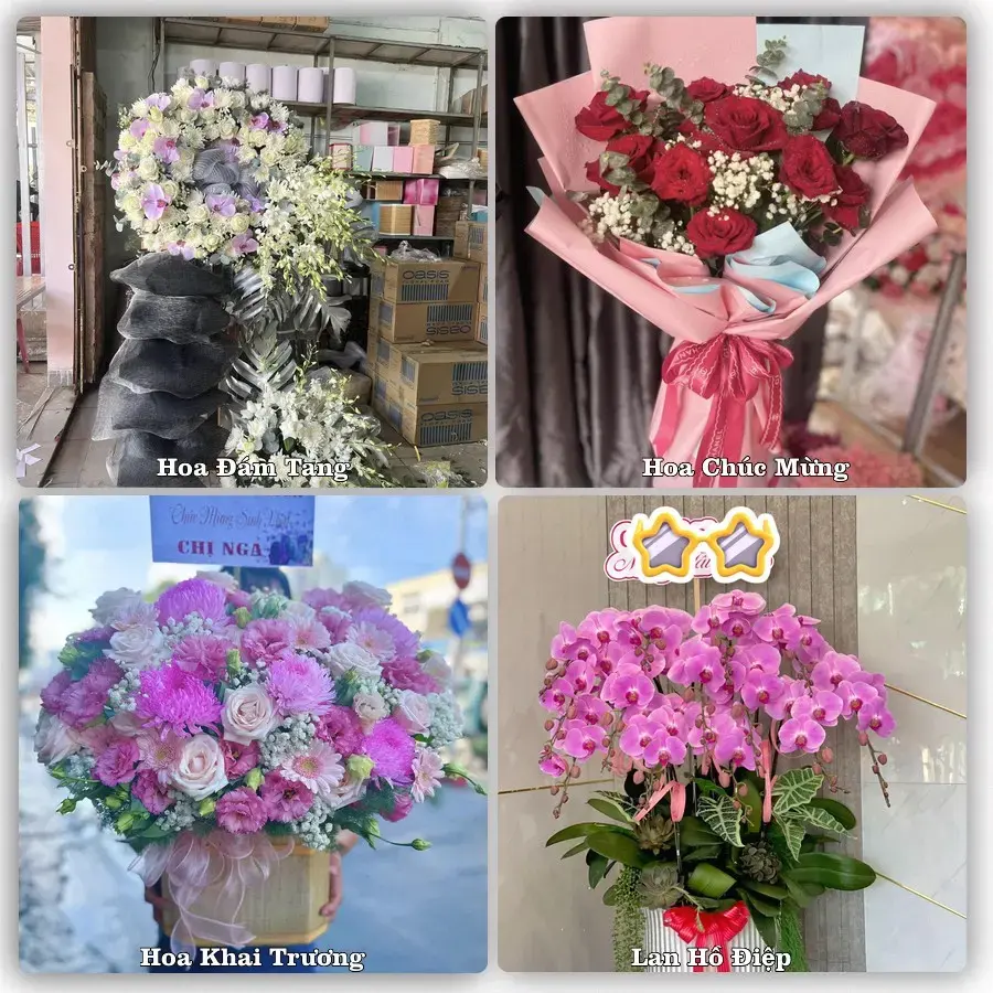 Tiệm hoa tươi Phường Hương Trà, Đà Nẵng – hoa sinh nhật và khai trương