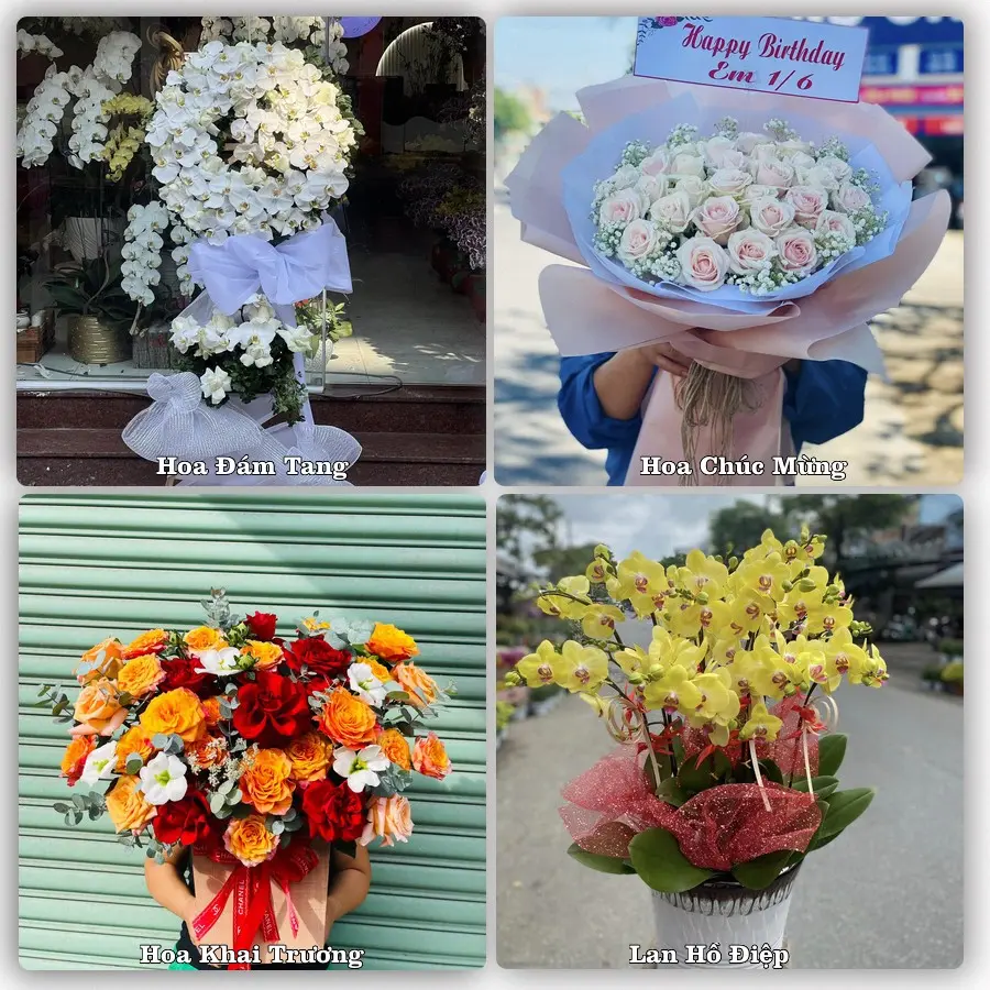 Tư vấn chọn hoa theo người nhận và dịp tặng tại Phường Hương Trà - Thành phố Đà Nẵng