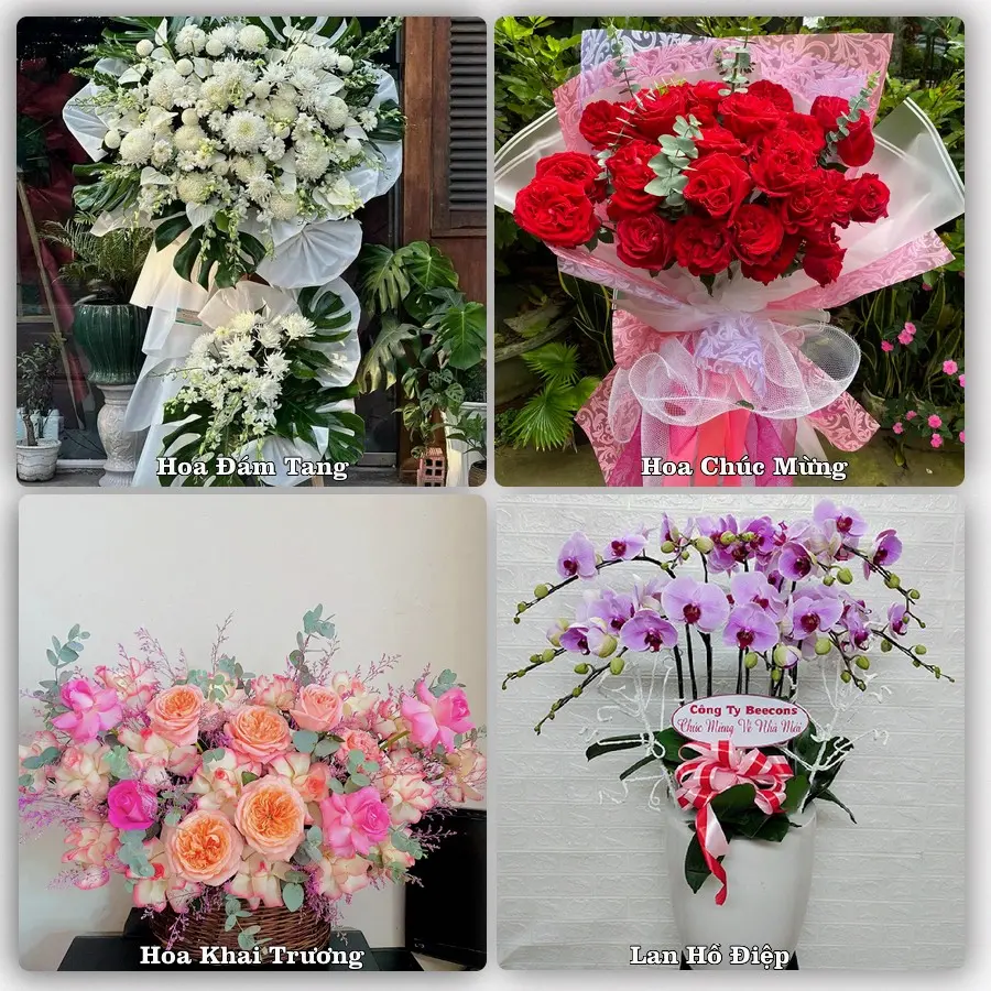 Mẫu hoa phục vụ nhu cầu đặt hoa tại Xã Sóc Sơn - Thành phố Hà Nội