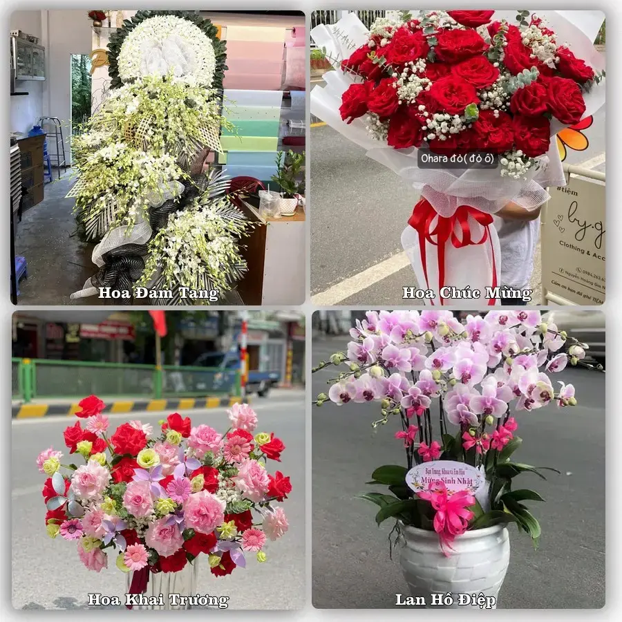 Tiệm hoa tươi Phường Trà Vinh, Vĩnh Long – hoa sinh nhật và khai trương