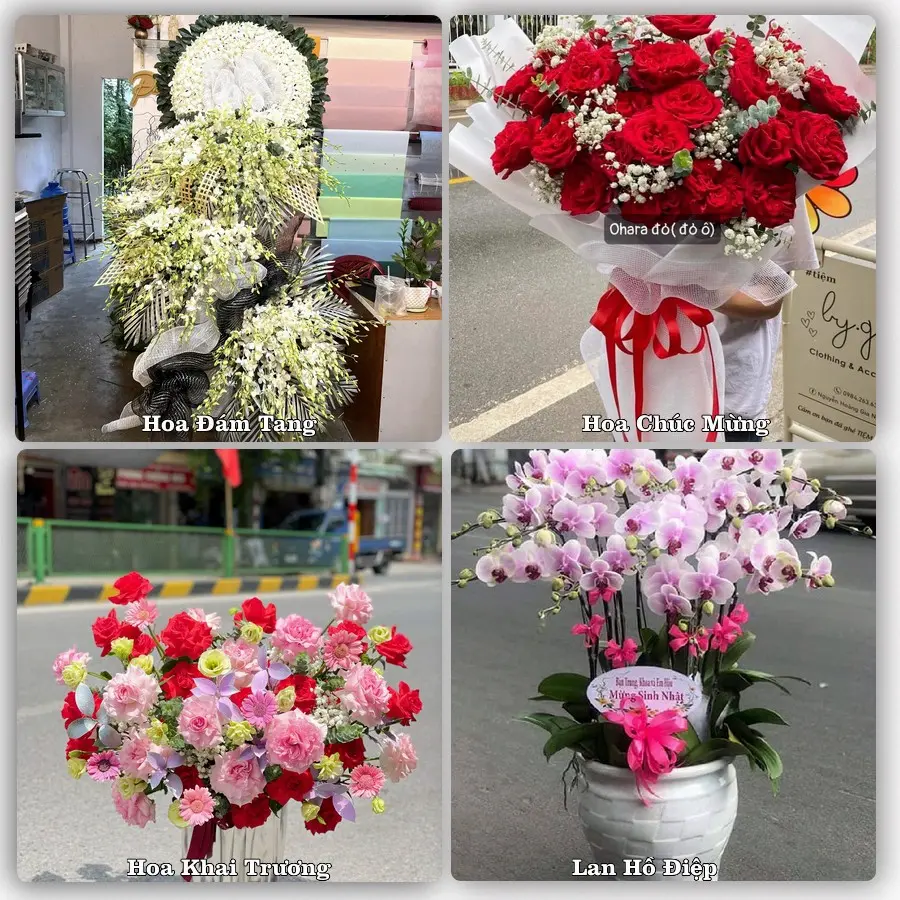 Mẫu hoa phục vụ nhu cầu đặt hoa tại Phường Trà Vinh - Tỉnh Vĩnh Long
