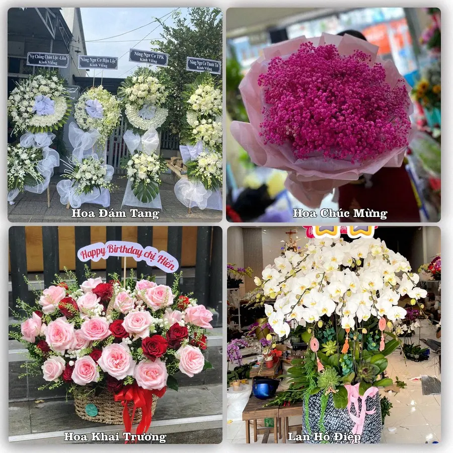 Mẫu hoa phục vụ nhu cầu đặt hoa tại Phường Từ Sơn - Tỉnh Bắc Ninh