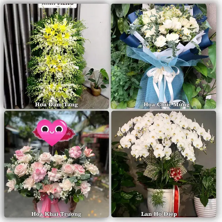 Tiệm hoa tươi Phường Vĩnh Phước, Cần Thơ – hoa sinh nhật và khai trương