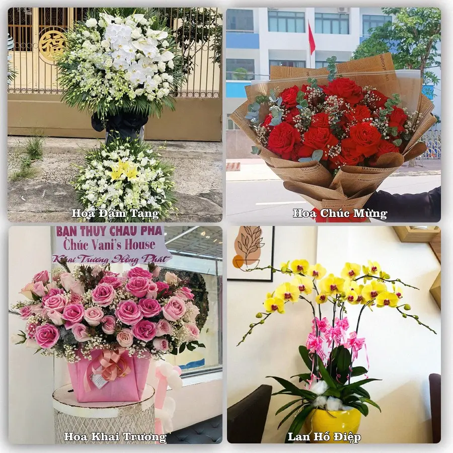 Tư vấn chọn hoa theo người nhận và dịp tặng tại Phường Vĩnh Phước - Thành phố Cần Thơ