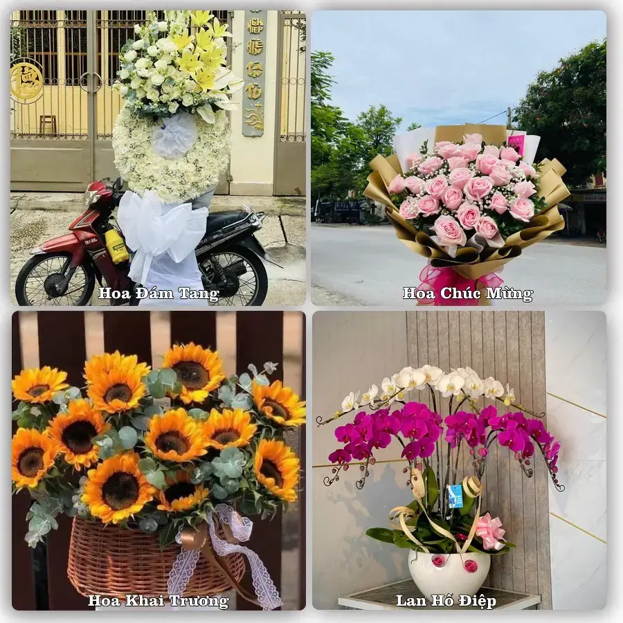 Dịch vụ đặt hoa và giao tận nơi tại Xã An Khánh - Thành phố Hải Phòng