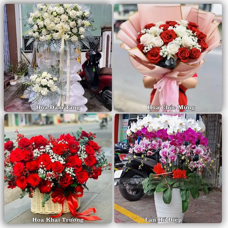 Mẫu hoa phục vụ nhu cầu đặt hoa tại Xã An Khánh - Thành phố Hải Phòng