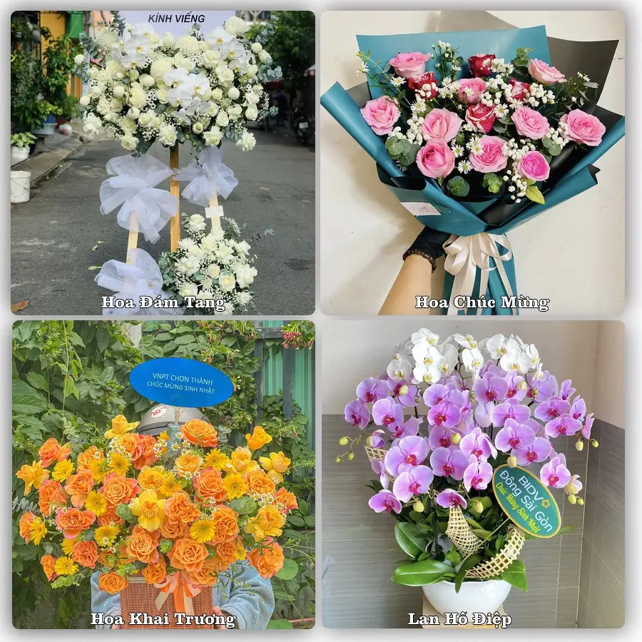 Tư vấn chọn hoa theo người nhận và dịp tặng tại Xã An Khánh - Thành phố Hải Phòng