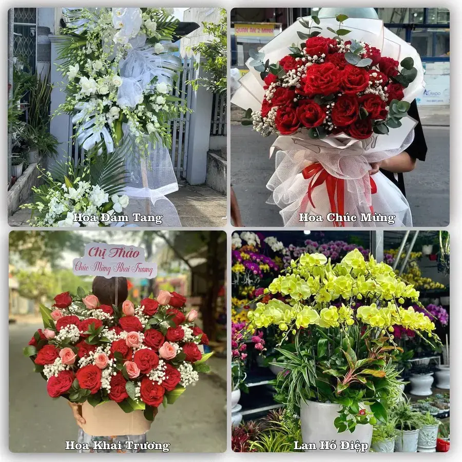 Shop hoa Xã An Phước, Đồng Nai – tư vấn mẫu, giao tận nơi