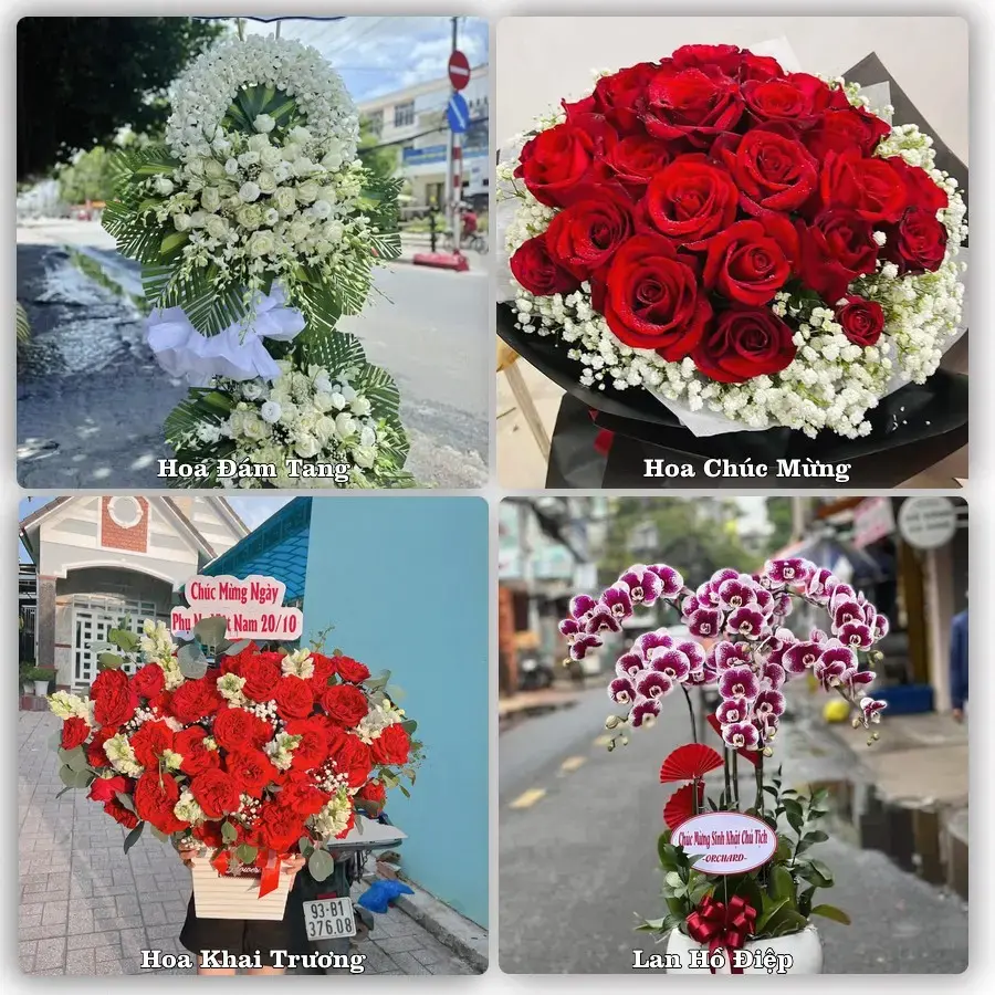 Shop hoa tươi Phường Buôn Ma Thuột, Đắk Lắk – đặt hoa theo dịp, giao tận nơi