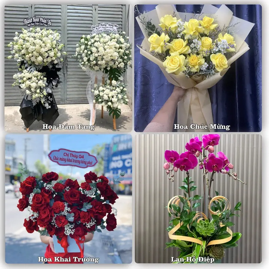 Tư vấn chọn hoa theo người nhận và dịp tặng tại Xã Diên Khánh - Tỉnh Khánh Hòa