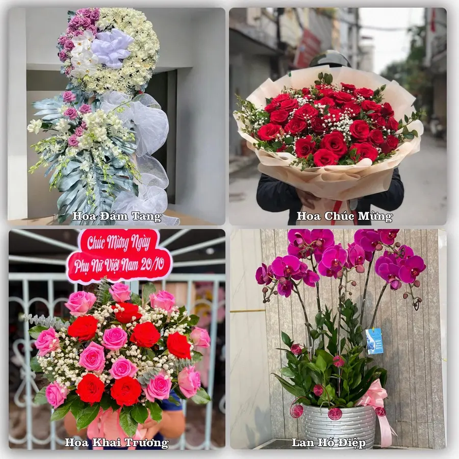 Mẫu hoa phục vụ nhu cầu đặt hoa tại Xã Giồng Riềng - Tỉnh An Giang