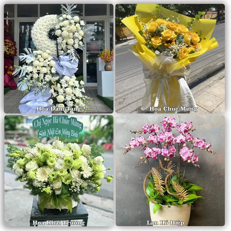 Tư vấn chọn hoa theo người nhận và dịp tặng tại Xã Giồng Riềng - Tỉnh An Giang