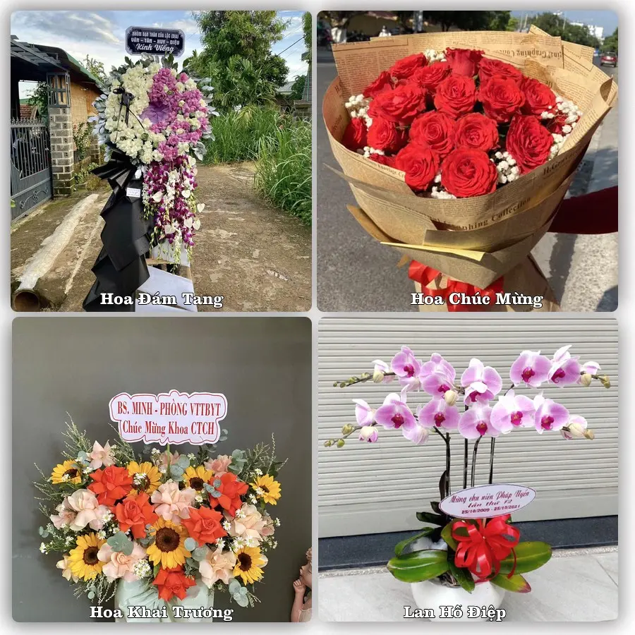 Tư vấn chọn hoa theo người nhận và dịp tặng tại Xã Kim Liên - Tỉnh Nghệ An