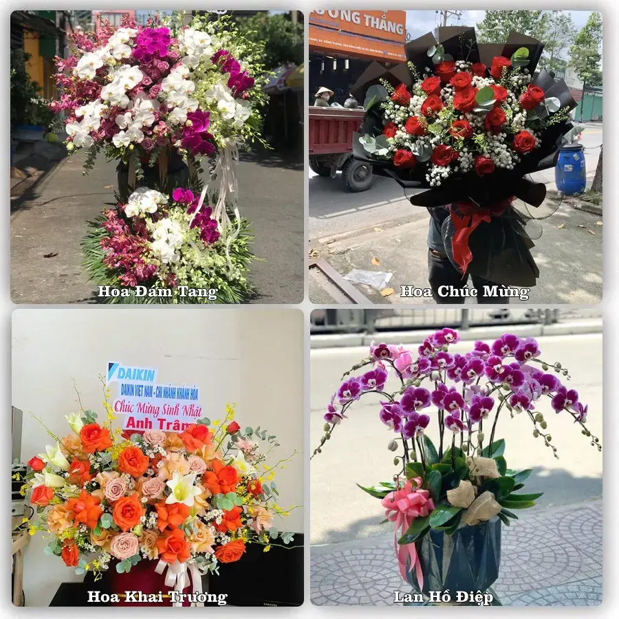 Shop hoa Xã Liên Châu, Phú Thọ – tư vấn mẫu, giao tận nơi