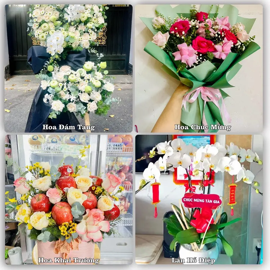 Tư vấn chọn hoa theo người nhận và dịp tặng tại Xã Liên Châu - Tỉnh Phú Thọ