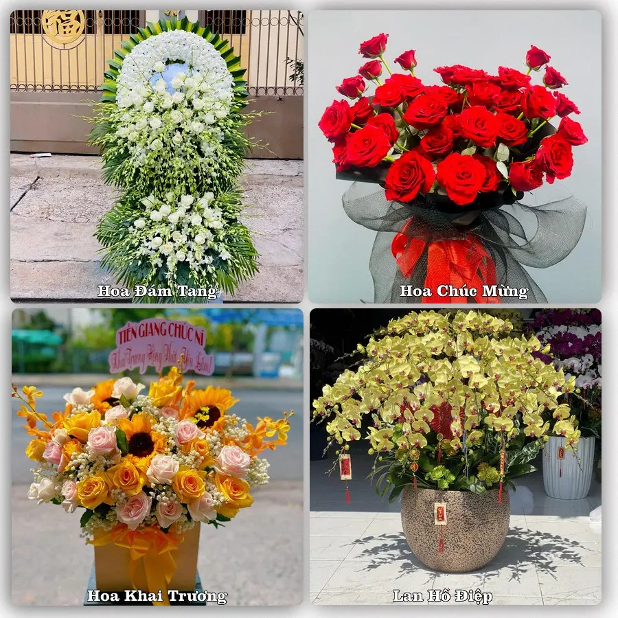 Tư vấn chọn hoa theo người nhận và dịp tặng tại Xã Nam Phù - Thành phố Hà Nội