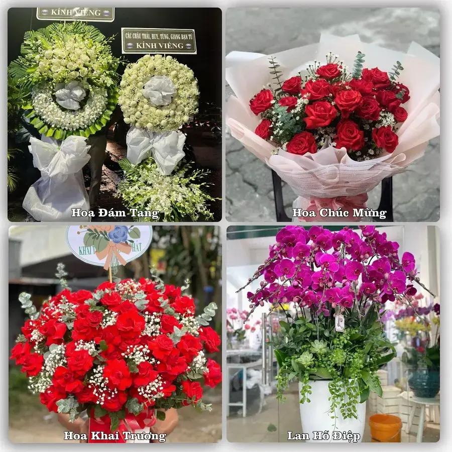 Shop hoa tươi Xã Như Quỳnh, Hưng Yên – đặt hoa theo dịp, giao tận nơi