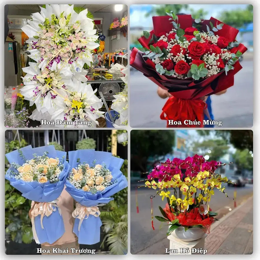 Tư vấn chọn hoa theo người nhận và dịp tặng tại Phường Phú Thuỷ - Tỉnh Lâm Đồng