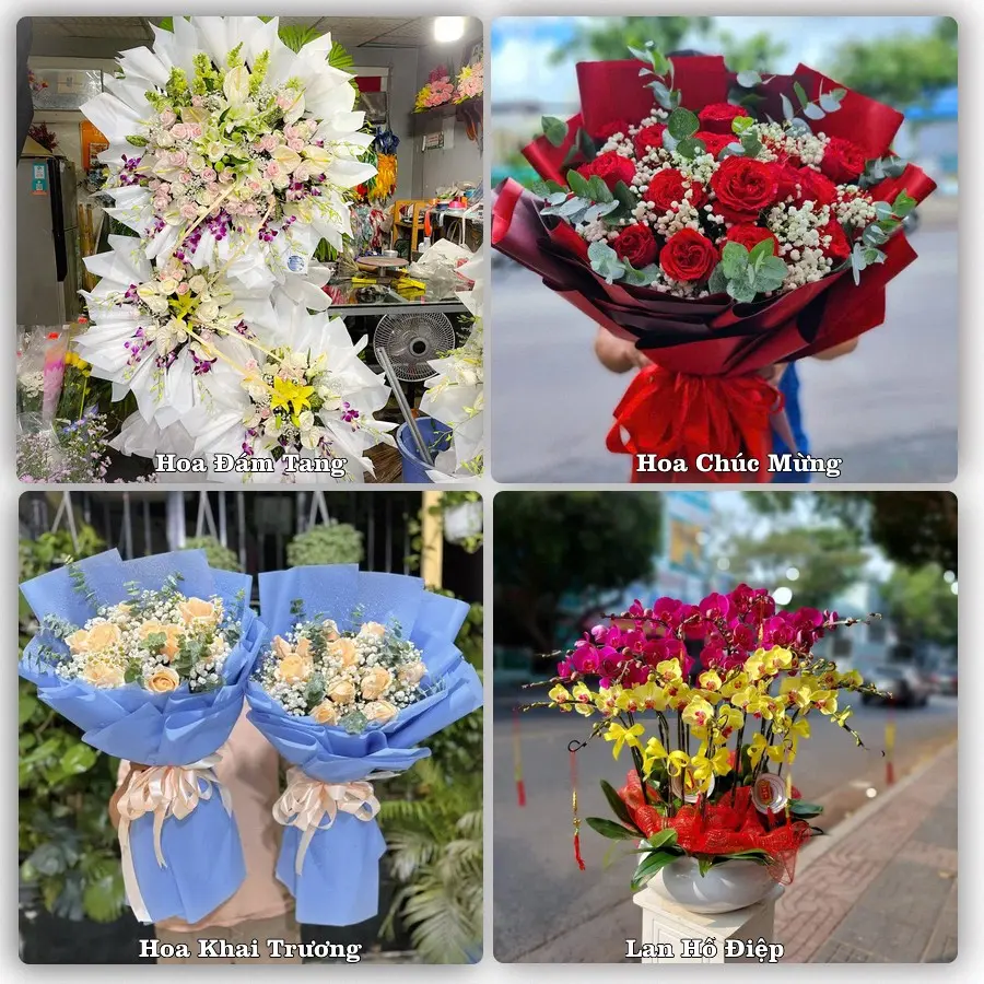 Tư vấn chọn hoa theo người nhận và dịp tặng tại Phường Phú Thuỷ - Tỉnh Lâm Đồng