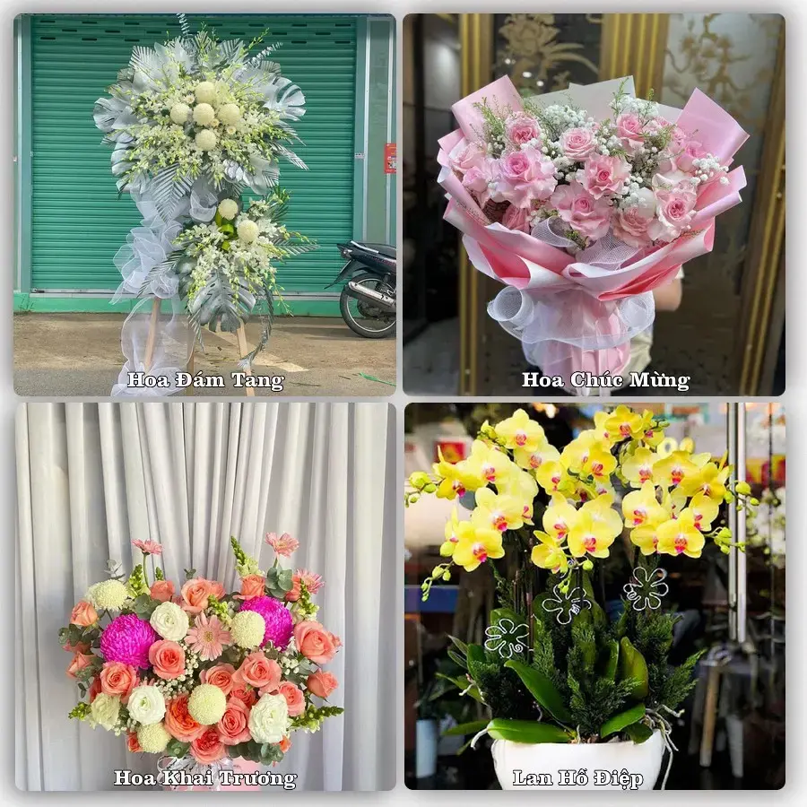 Tư vấn chọn hoa theo người nhận và dịp tặng tại Phường Phượng Sơn - Tỉnh Bắc Ninh