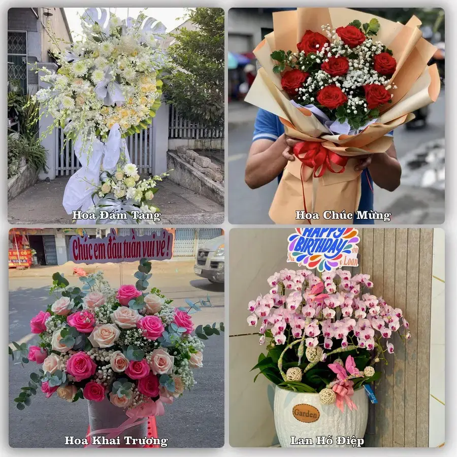 Shop hoa Phường Sơn Đông, Vĩnh Long – tư vấn mẫu, giao tận nơi