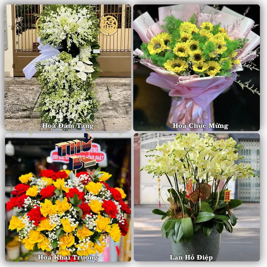 Tư vấn chọn hoa theo người nhận và dịp tặng tại Phường Sơn Đông - Tỉnh Vĩnh Long