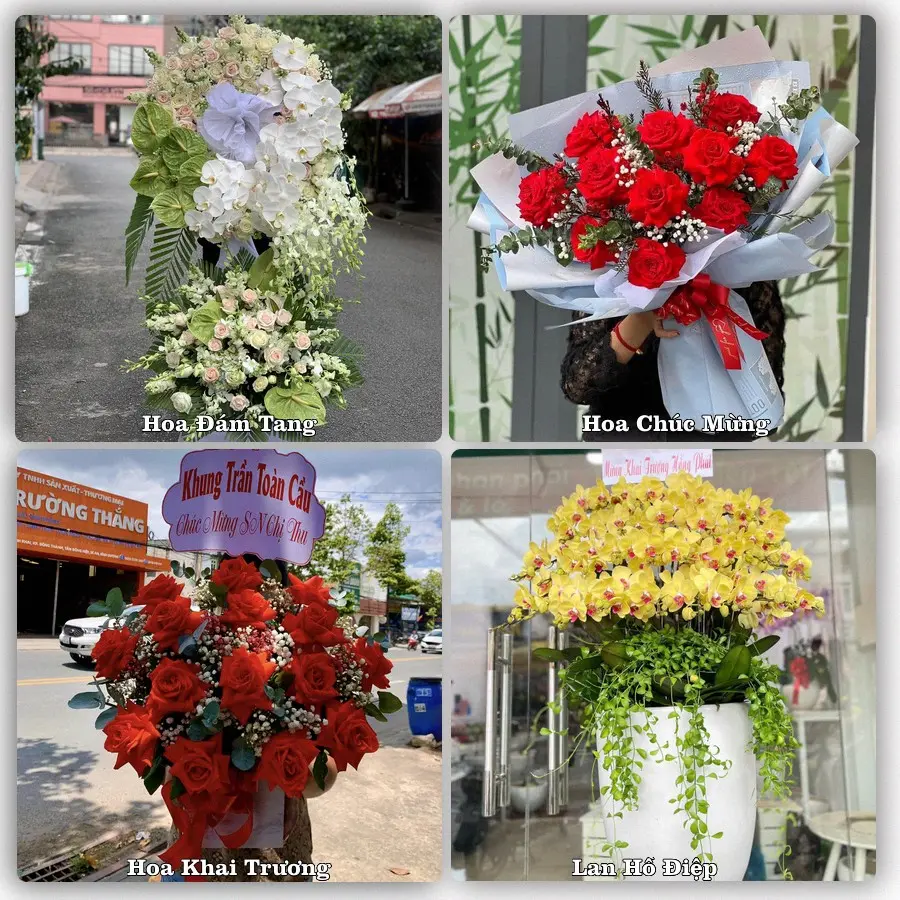 Mẫu hoa phục vụ nhu cầu đặt hoa tại Tuy Hòa, Đắk Lắk